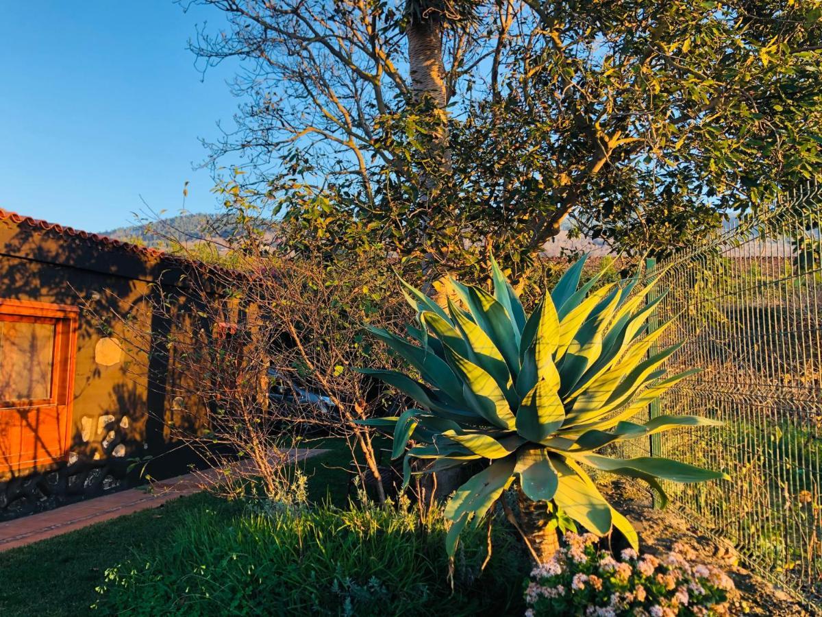 Casa Rural Dona Herminda La Matanza De Acentejo Exteriér fotografie