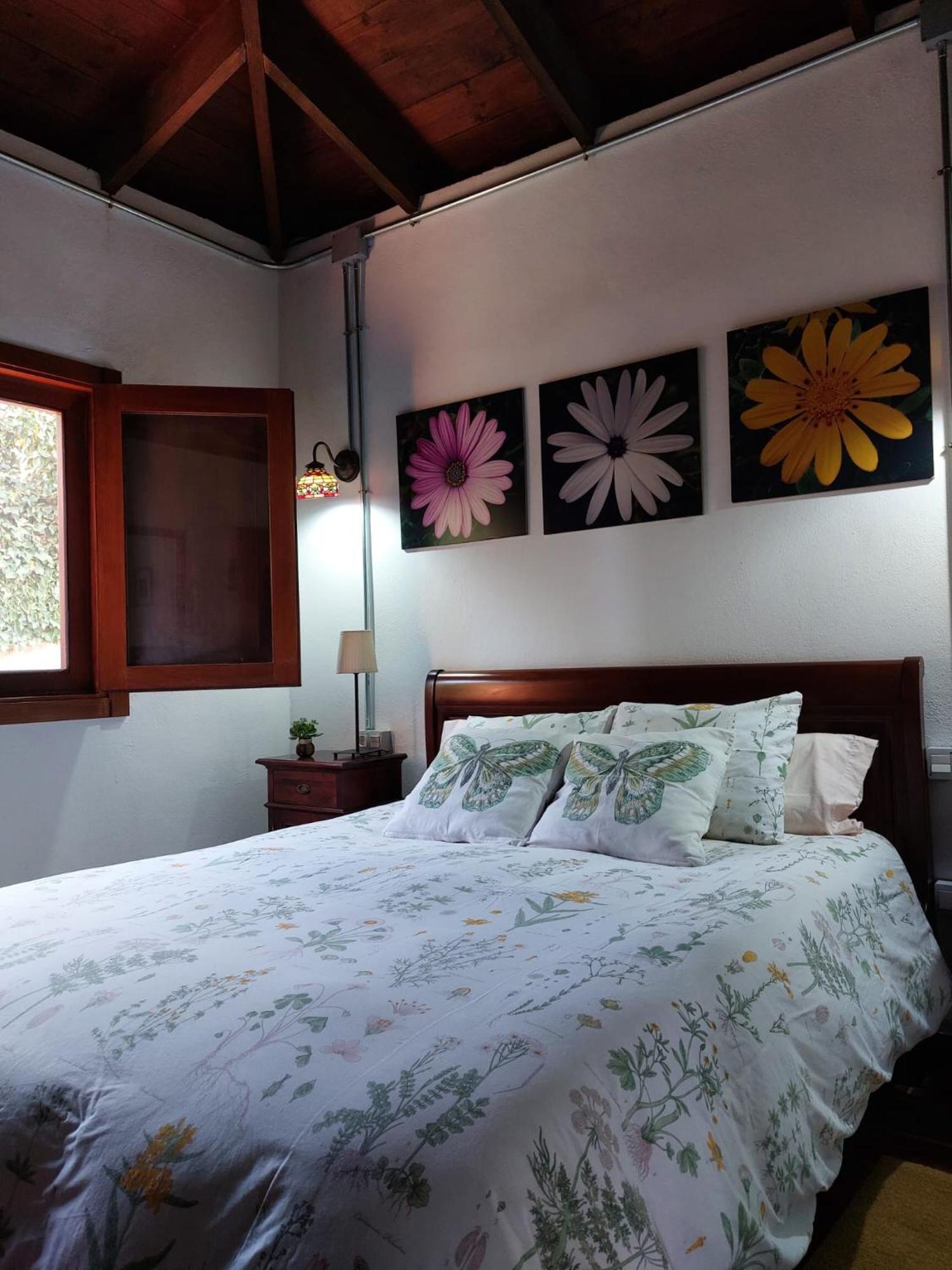 Casa Rural Dona Herminda La Matanza De Acentejo Exteriér fotografie