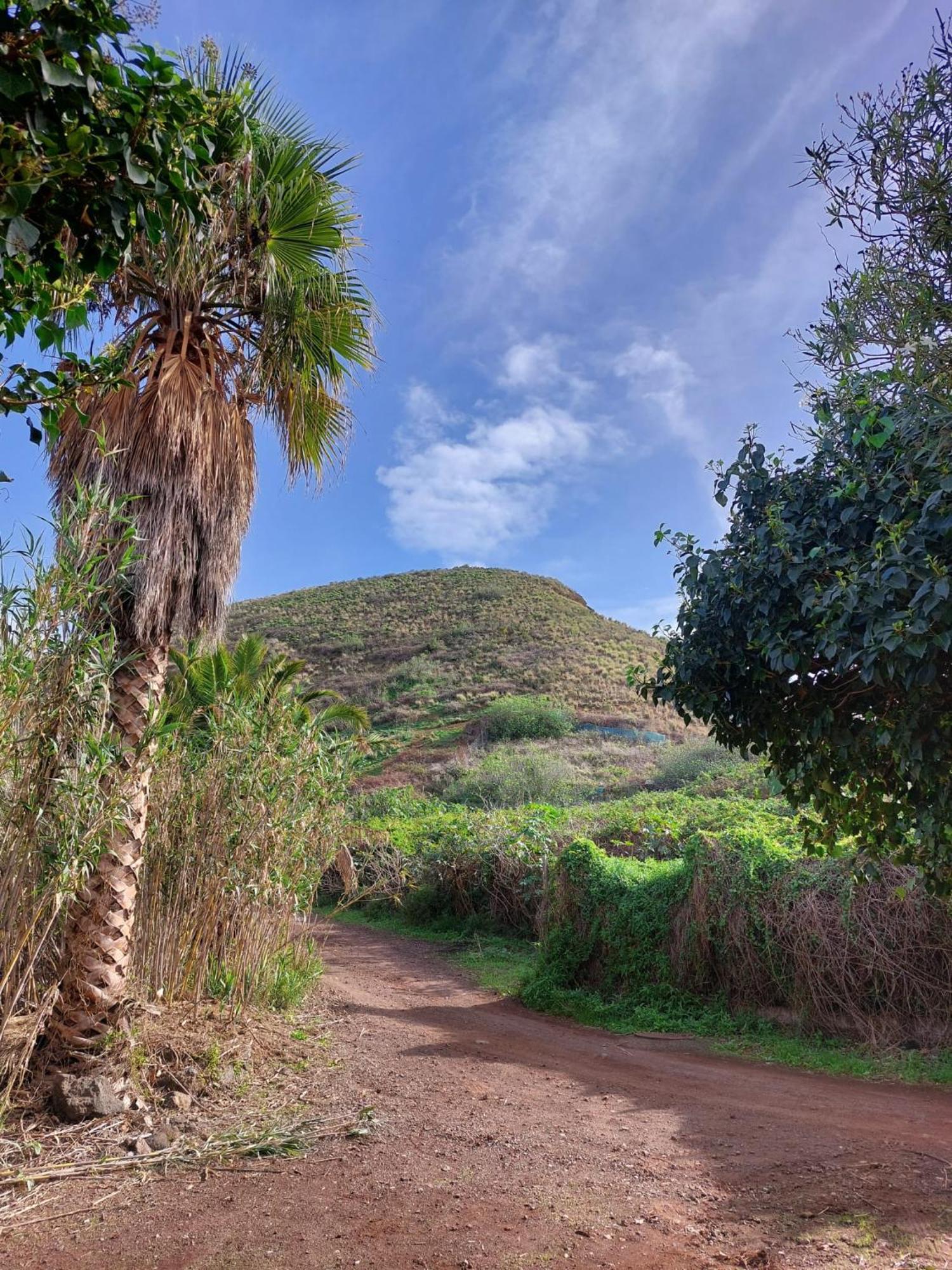 Casa Rural Dona Herminda La Matanza De Acentejo Exteriér fotografie