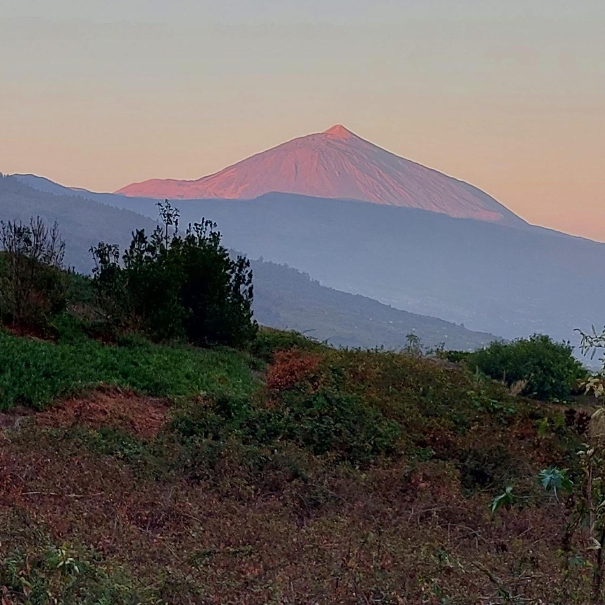 Casa Rural Dona Herminda La Matanza De Acentejo Exteriér fotografie