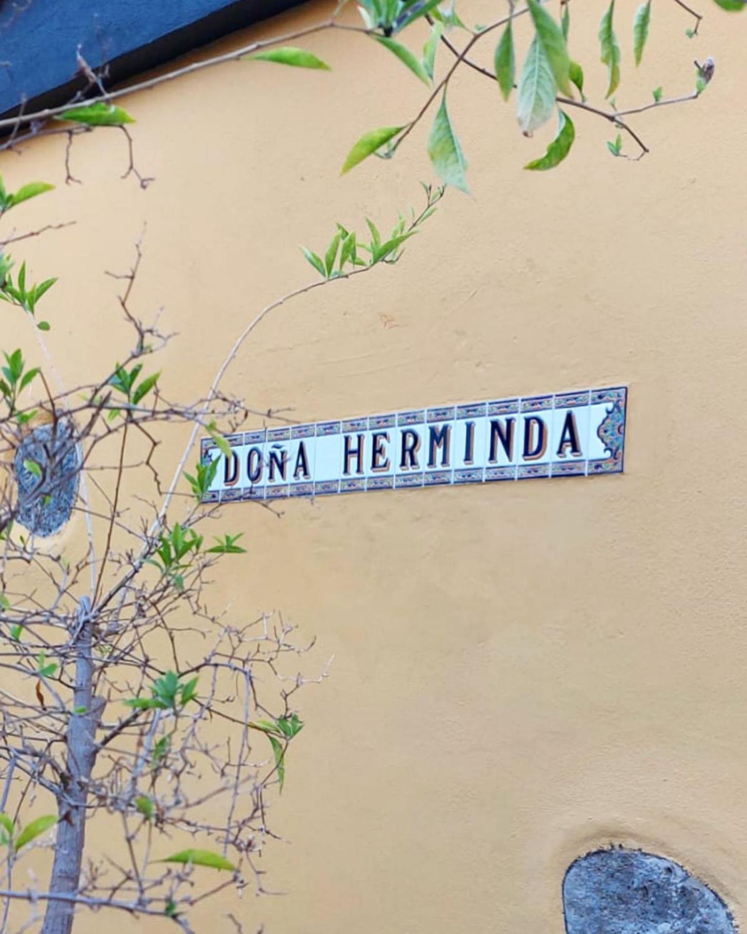 Casa Rural Dona Herminda La Matanza De Acentejo Exteriér fotografie
